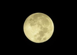 luna piena o luna di lupo